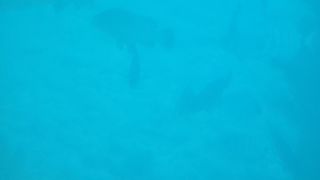 2025-10-GC-Submariane Adventure-38.jpg